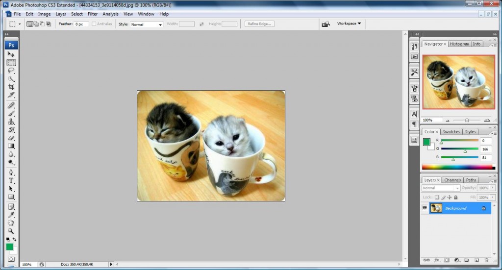Tutorial How to change your color image to black and white Hungred